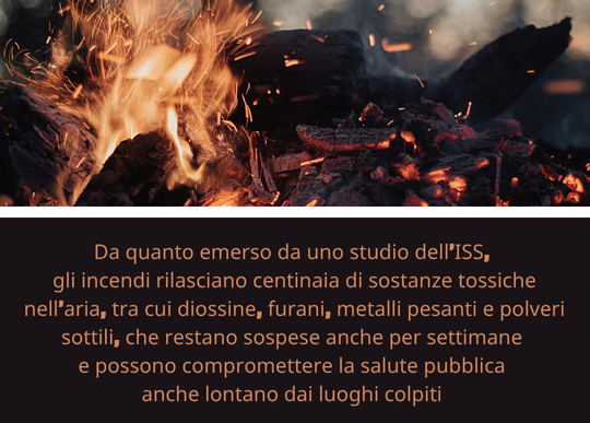 incendi sostanze tossiche e danni.png